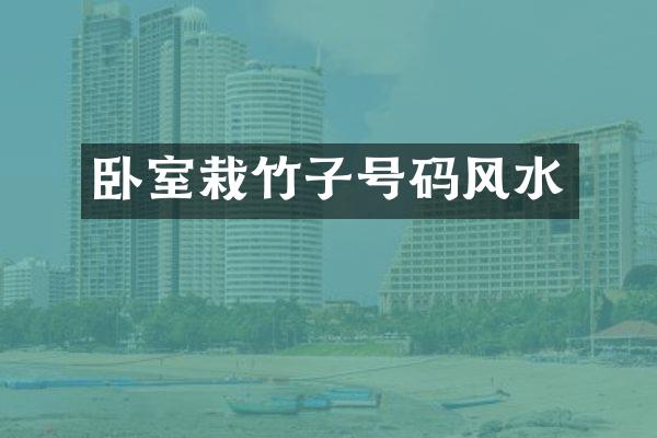 卧室栽竹子号码风水