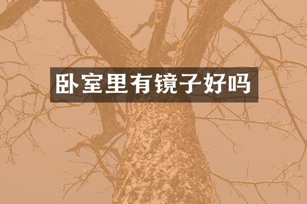 卧室里有镜子好吗