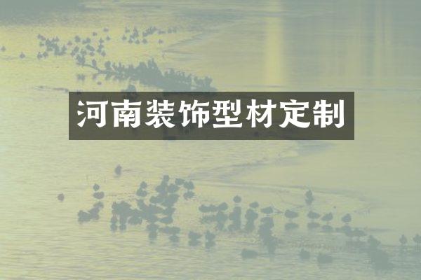 河南装饰型材定制