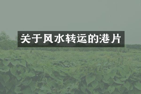 关于风水转运的港片