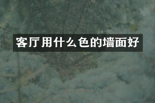 客厅用什么色的墙面好