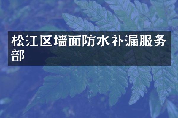 松江区墙面防水补漏服务部