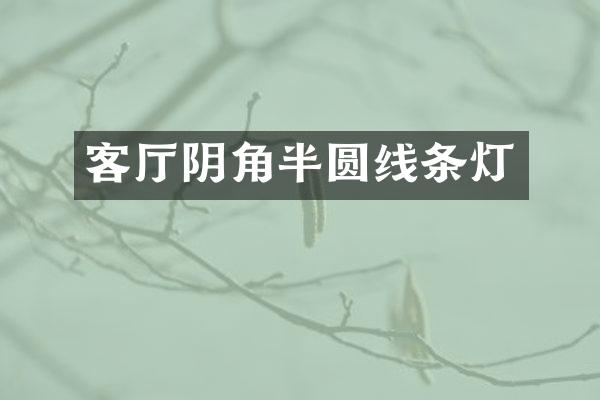 客厅阴角半圆线条灯