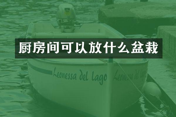 厨房间可以放什么盆栽