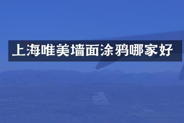 上海唯美墙面涂鸦哪家好