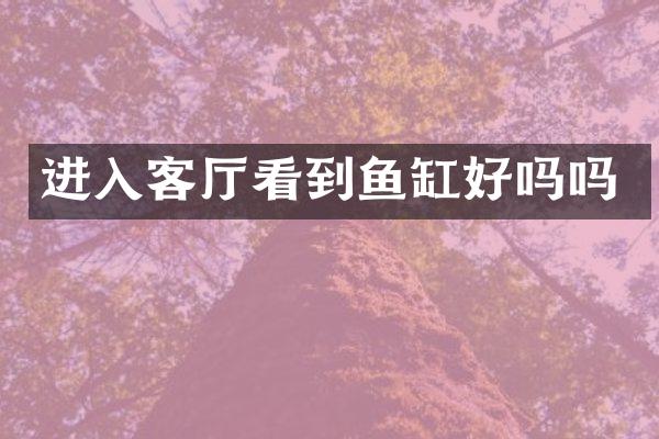 进入客厅看到鱼缸好吗吗