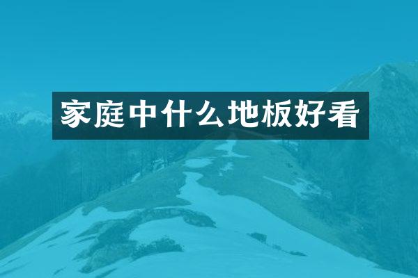 家庭中什么地板好看