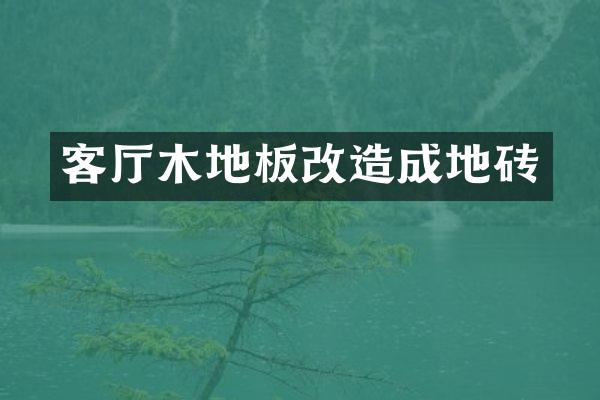 客厅木地板改造成地砖