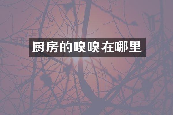 厨房的嗅嗅在哪里