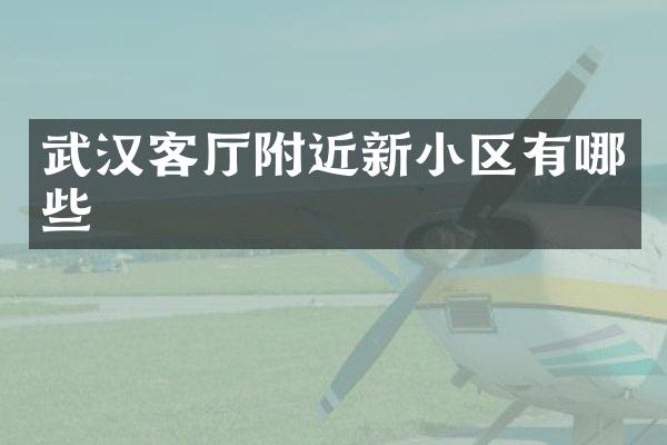武汉客厅附近新小区有哪些