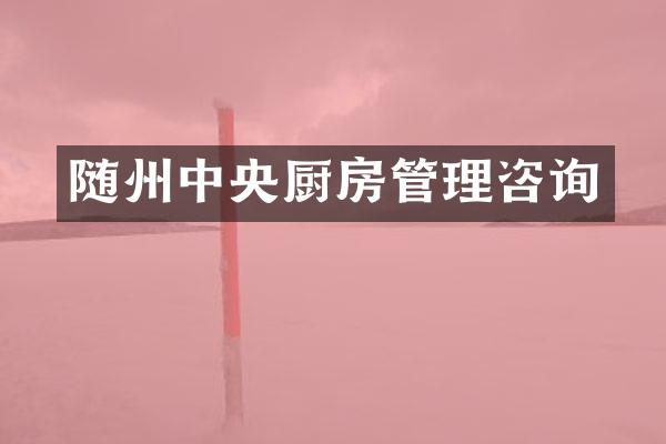 随州中央厨房管理咨询