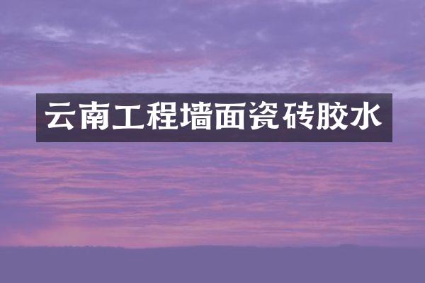 云南工程墙面瓷砖胶水