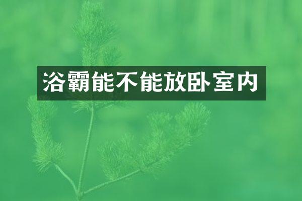 浴霸能不能放卧室内