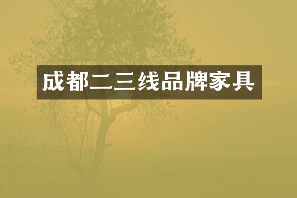 成都二三线品牌家具