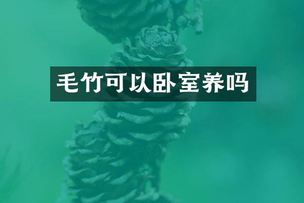 毛竹可以卧室养吗