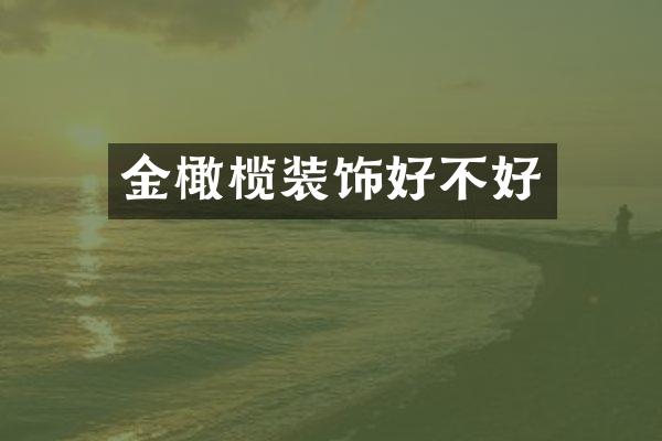 金橄榄装饰好不好