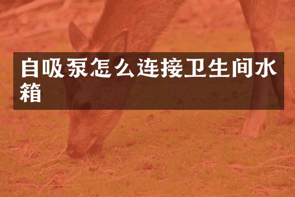 自吸泵怎么连接卫生间水箱