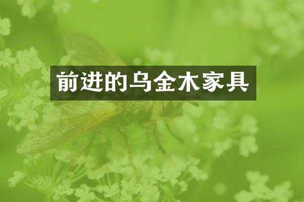前进的乌金木家具