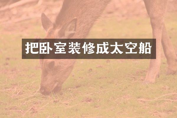 把卧室装修成太空船