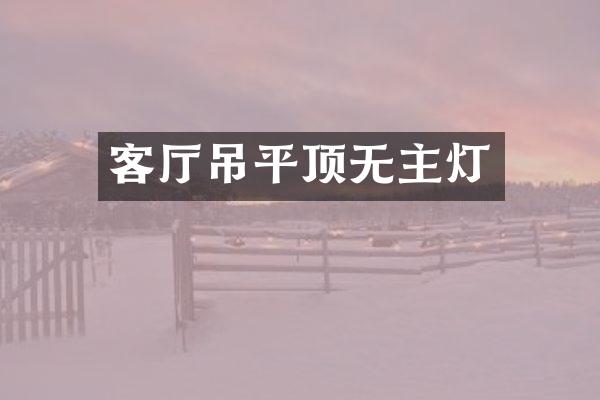 客厅吊平顶无主灯