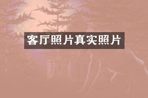 客厅照片真实照片