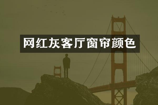 网红灰客厅窗帘颜色