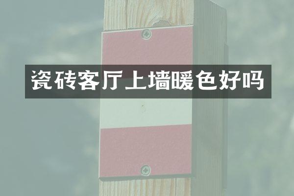 瓷砖客厅上墙暖色好吗