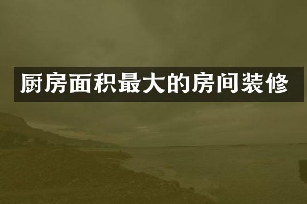 厨房面积最大的房间装修
