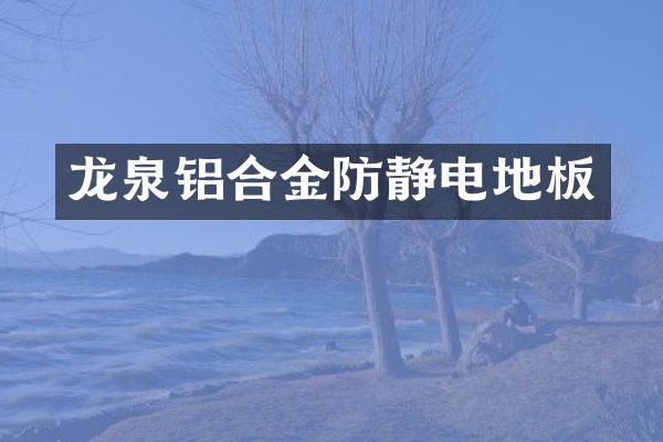 龙泉铝合金防静电地板