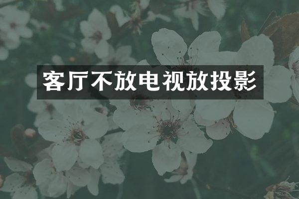 客厅不放电视放投影