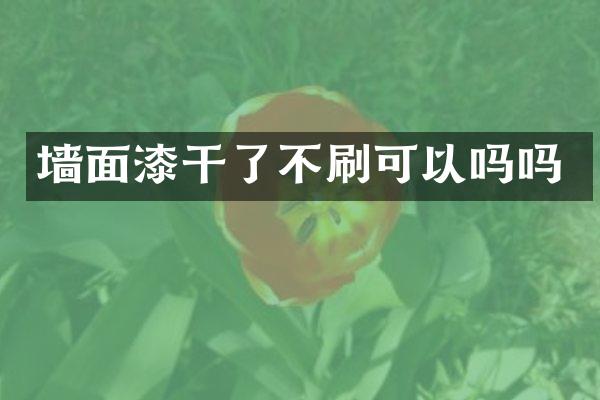 墙面漆干了不刷可以吗吗