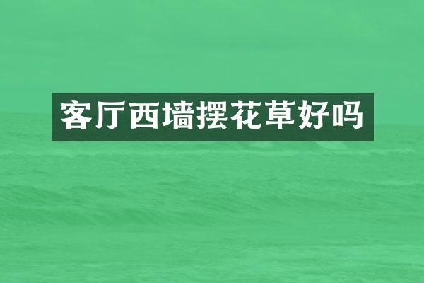 客厅西墙摆花草好吗