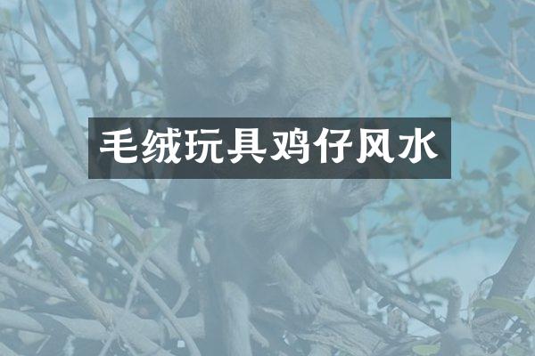毛绒玩具鸡仔风水