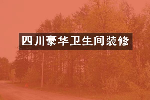 四川豪华卫生间装修