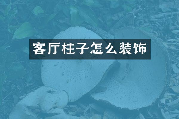 客厅柱子怎么装饰