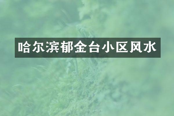 哈尔滨郁金台小区风水