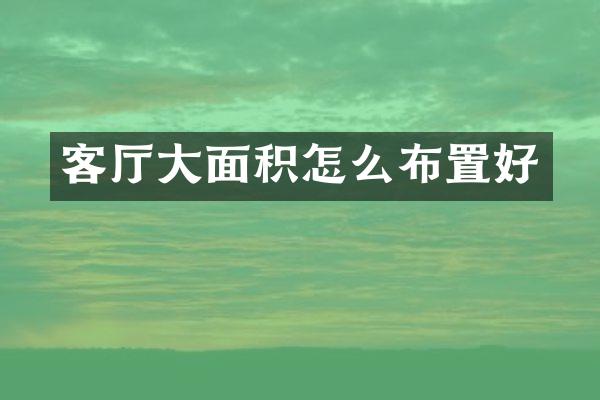 客厅大面积怎么布置好