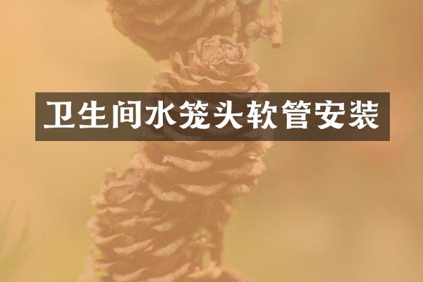 卫生间水笼头软管安装
