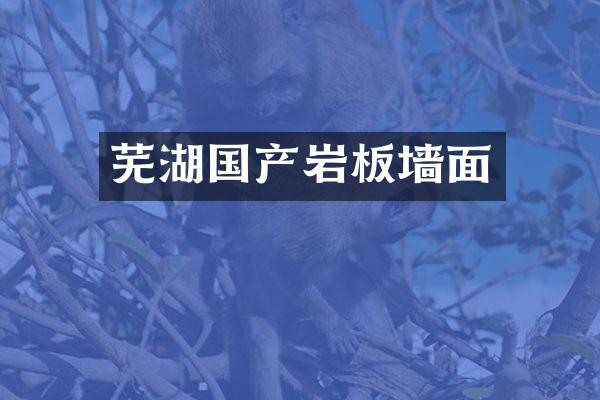 芜湖国产岩板墙面