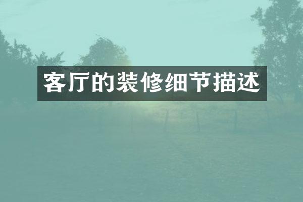客厅的装修细节描述