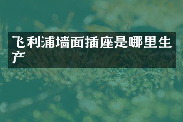 飞利浦墙面插座是哪里生产