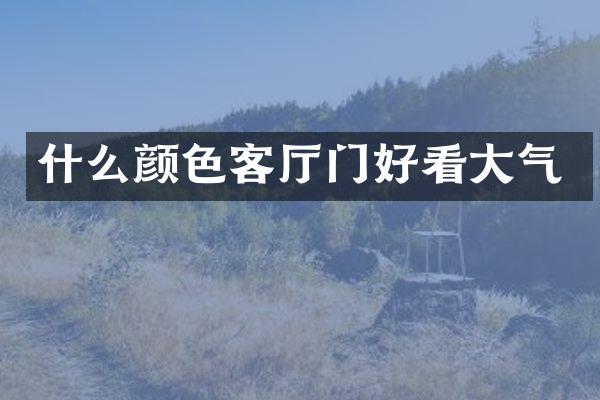 什么颜色客厅门好看大气