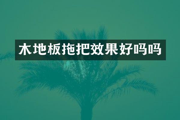 木地板拖把效果好吗吗
