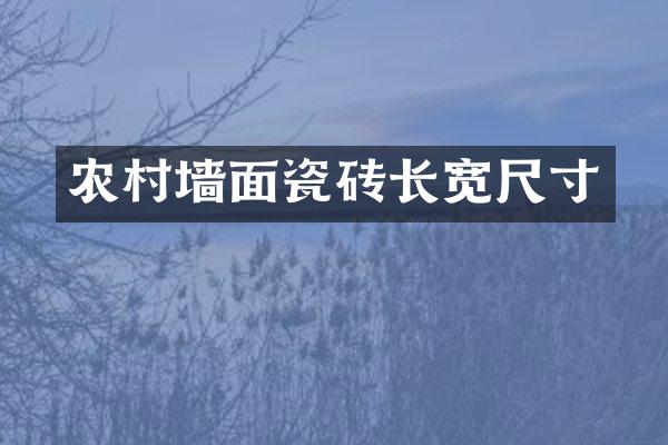 农村墙面瓷砖长宽尺寸