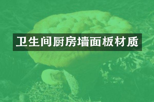 卫生间厨房墙面板材质