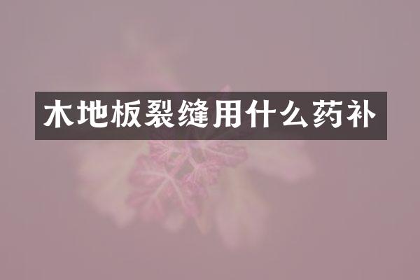 木地板裂缝用什么药补