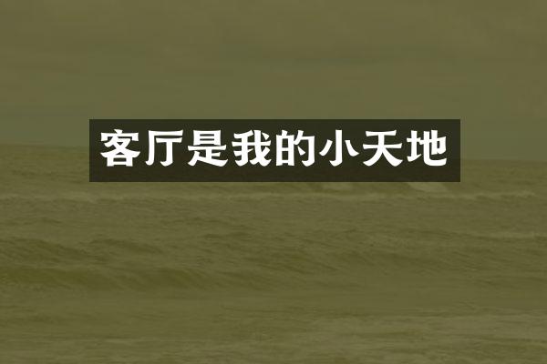 客厅是我的小天地
