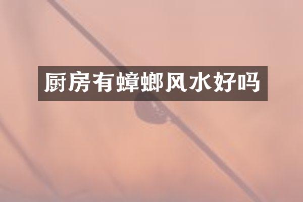 厨房有蟑螂风水好吗