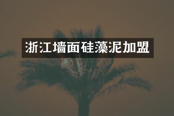 浙江墙面硅藻泥加盟