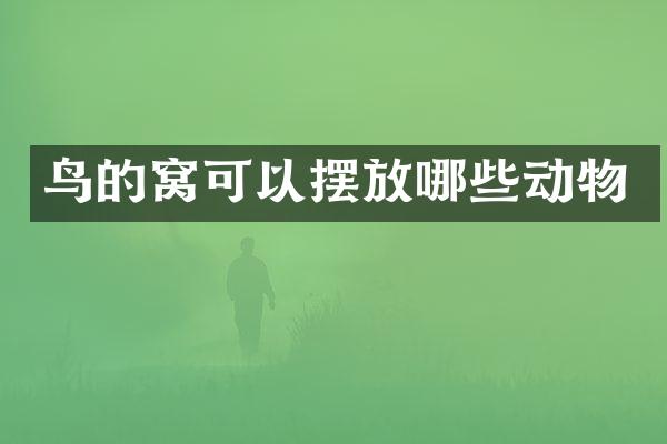鸟的窝可以摆放哪些动物